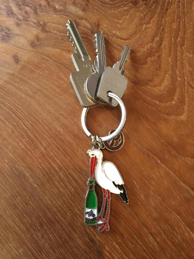 Le Riesling Colmar Centre Charmant Appartement Avec Terrasse Et Parking Gratuit Kültér fotó